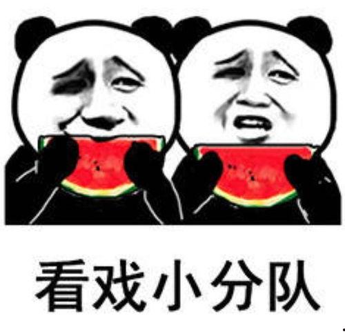 娱乐吃瓜表情图片大全,带你领略网络搞笑瞬间